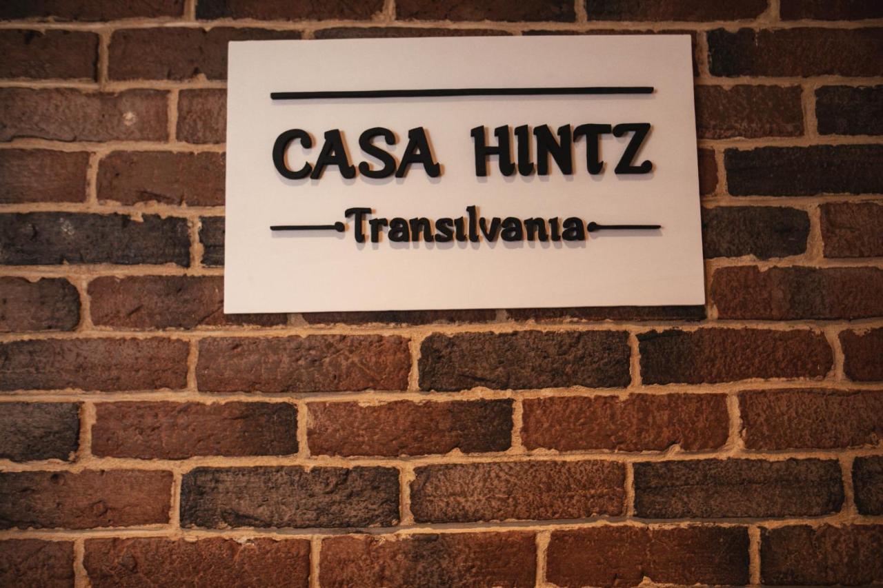 Casa Hintz Transilvania Fagaras Exterior photo